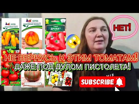 Видео: К ЭТИМ ТОМАТОМ НИКОГДА НЕ ВЕРНУСЬ! ПОЧЕМУ? СЕЙЧАС ПОДРОБНО ОБЪЯСНЮ!