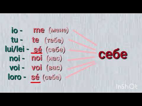 Видео: 4 листопада 2025 р.