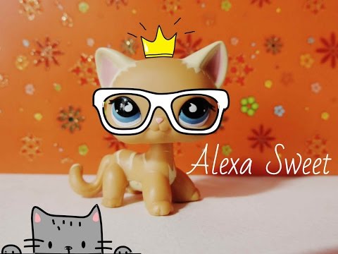 Видео: ✥ TOP 10 Любимых LPS ツ ✥