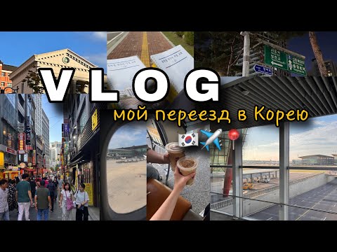 Видео: VLOG: мой переезд в Корею// первый перелет//🇰🇷✈️📍