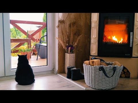 Видео: 🏠Что Нужно Человеку? Мир, Покой,  Любимые Люди Рядом♥️Уютный Утренний Распорядок. Рецепт #дом #сад