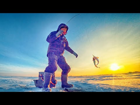 Видео: ДУПЛЕТЫ НА БАЛАНСИР!!! ЭТО ПЕРВЫЙ ЛЕД НА БОЛЬШОЙ ВОДЕ! Ловля окуня на балансир.