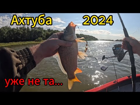 Видео: Ахтуба 2024