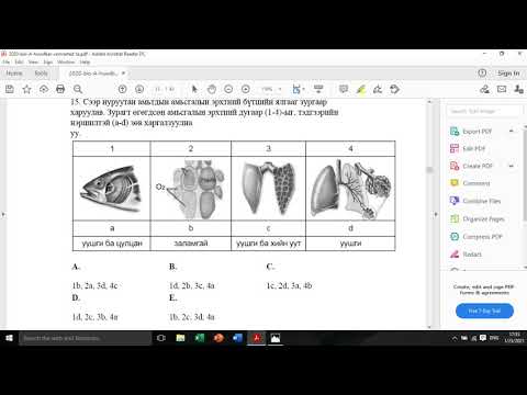 Видео: Биологи 2020 А хувилбар
