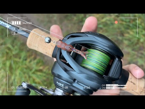 Видео: Прогулка с BFS кастингом. Обращай внимания на знаки!