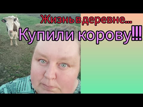 Видео: Как живут в русской деревне.Купили ещё одну корову.Покупка коровы.Новости с хозяйства.