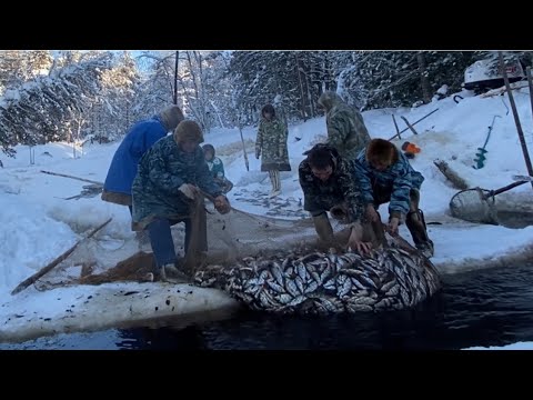 Видео: Дальняя рыбалка! Ловим рыбу на прикорм Оленям 🦌