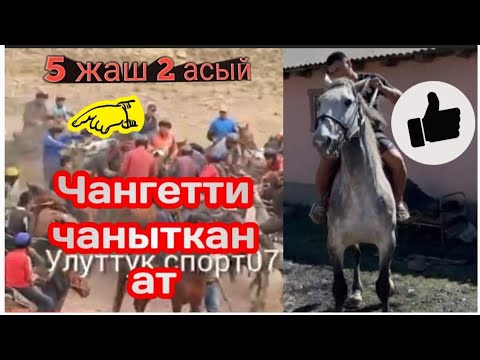 Видео: Чаңгетти чаңыткан ат