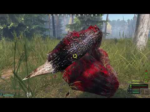 Видео: Играю на сервере Grotesk Stalker PVE DZ | День 6