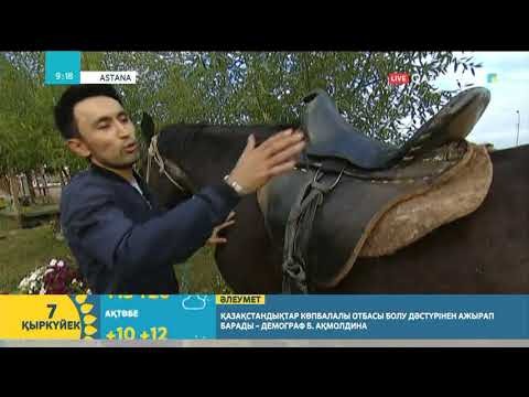 Видео: Ер-тоқым туралы қызықты деректер