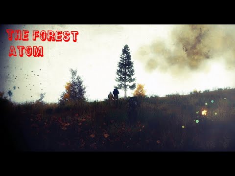 Видео: 🔴 - Первый запуск. Играем в The Forest #лес #theforest