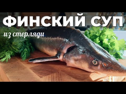 Видео: Финский суп из стерляди. Не стандартная уха. Мужская Кухня.