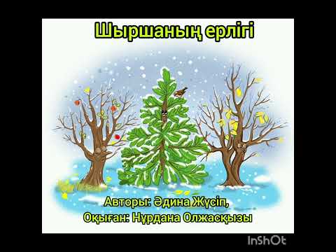 Видео: Шыршаның ерлігі