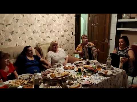 Видео: Виновата ли я под баян