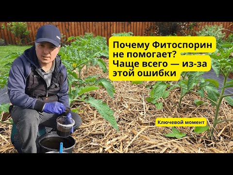 Видео: Фитоспорин разводят НЕ правильно большинство огородников!