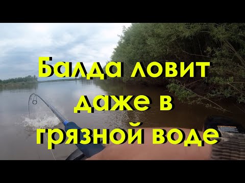 Видео: Балда ловит рыбу даже по самой грязной воде