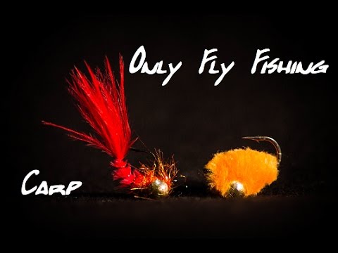 Видео: Ловля карпа нахлыстом : Краткий экскурс