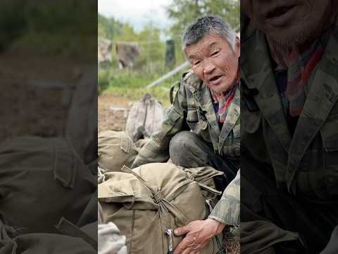Видео: Бог создал оленя, чтоб он нам помогал