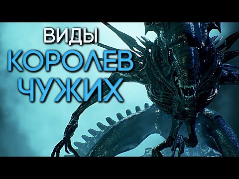 Видео: ВИДЫ КОРОЛЕВ ЧУЖИХ