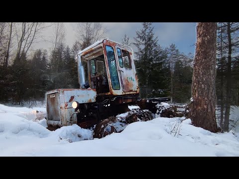 Видео: Cмешной ТРАКТОР + гармошка от автобуса / Успех неизбежен