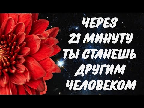 Видео: УПРАВЛЕНИЕ ВНИМАНИЕМ | ПРАКТИКА 
