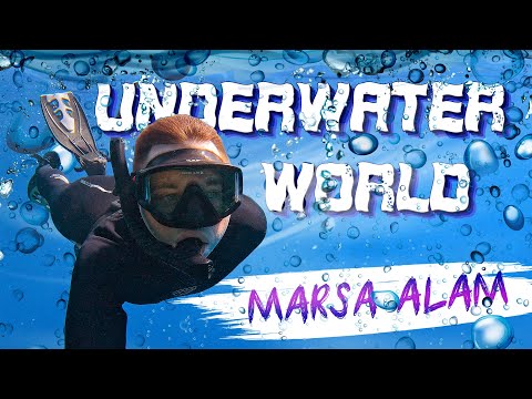 Видео: Египет 2025 | Novotel Марса-Алам - ОБЗОР пляжа | ЛУЧШИЙ отельный риф | Снорклинг в Красном море