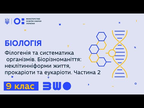 Видео: 9 клас. Біологія. Філогенія та систематика організмів. Біорізноманіття. Частина 2