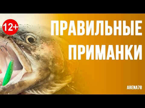 Видео: Семинар про форель – Часть 2. Блесны: вес, размер, модели, активность, цвет, горизонт проводки. 12+