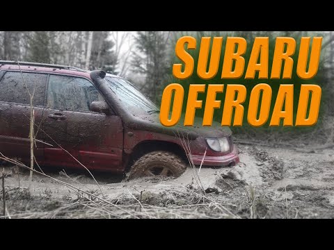 Видео: ОНИ СЛОМАЛИСЬ В ЛЕСУ. ЕДЕМ СПАСАТЬ. SUBARU OFFROAD