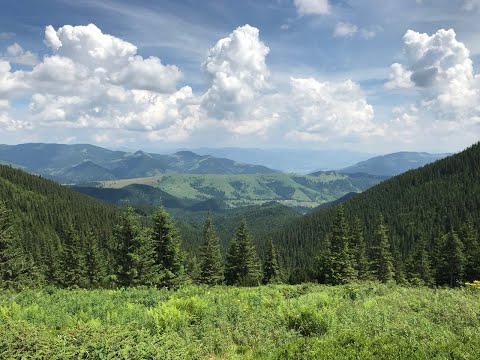 Видео: Карпаты долина Кизи