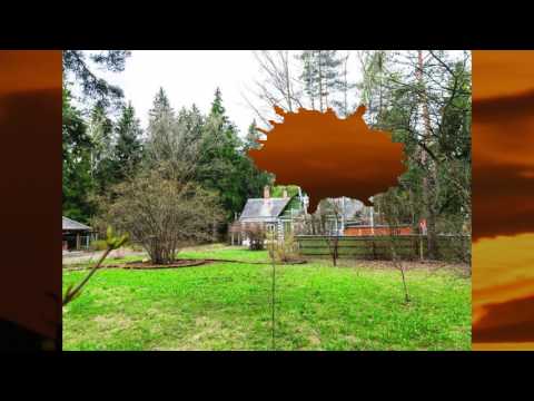 Видео: Соседи захватили участок. Как вернуть землю и восстановить границу? (Басманный суд)