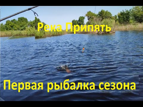 Видео: Река Припять. Первая рыбалка сезона. Историческое место....