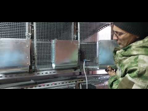 Видео: 683. Новый 2025 наступил ,по календарю да 👍 по ощущениям  весна .