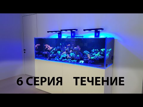 Видео: 6 СЕРИЯ  Течение