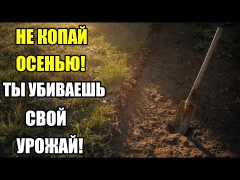 Видео: НЕ КОПАЙ ОСЕНЬЮ!  ОДНА ОШИБКА, КОТОРУЮ ДЕЛАЮТ ВСЕ ОГОРОДНИКИ — И ТЕРЯЮТ УРОЖАЙ НА ГОДЫ!