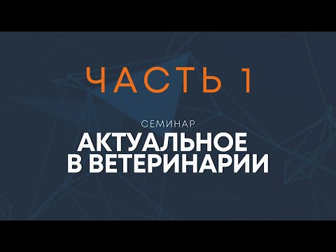 Видео: Семинар "Актуальное в ветеринарии" ч.1