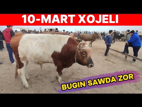 Видео: 10-МАРТ 2024-ЖЫЛ/ХОЖЕЛИ МАЛ БАЗАР/СКОТНЫЙ РЫНОК/BUQALAR/BIGGEST BULLS IN THE WORLD/BIGG BULLS