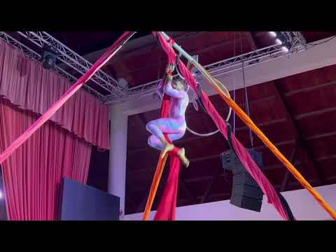 Видео: Цирк