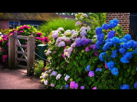 Видео: Оригинальные идеи для декорирования садового участка/ Examples of garden improvement /#ландшафт