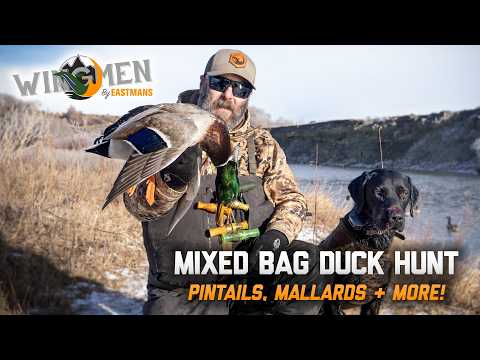 Видео: Шилохвости, кряквы и гуси. О, Боже! Охота с ведомыми от Истманса