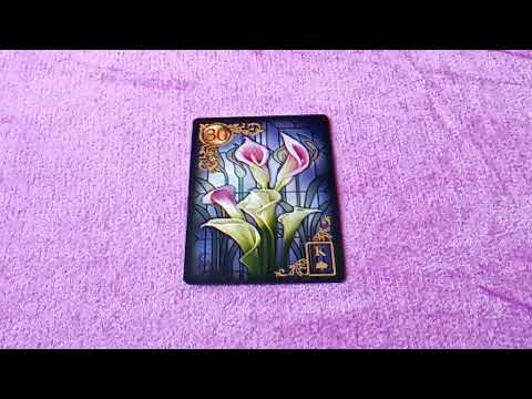 Видео: КАРТА ЛИЛИИ В ТРИАДАХ ЛЕНОРМАН. ПРАКТИЧЕСКИЕ ПРИМЕРЫ.