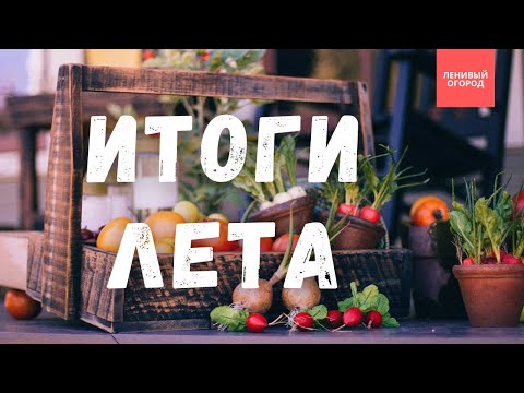 Видео: РЕКОРДНЫЙ урожай в Ленивом Огороде: огородные достижения и неудачи | Мой урожай 2024