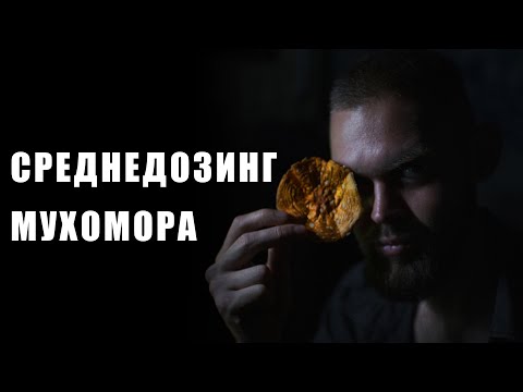 Видео: СРЕДНЕДОЗИНГ МУХОМОРОВ | Красный и Пантерный мухомор на средних дозировках