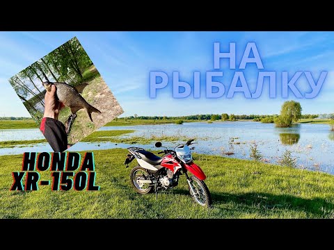 Видео: Хонда XR150-L Испытания и Рыбалка.Бездорожье.Приключения на Офроуд.