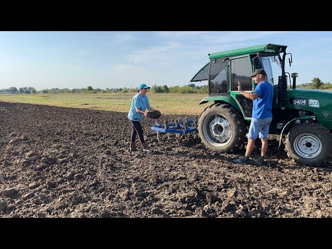 Видео: Культивація! Всі затрати на заготівлю силосу!