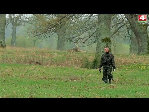 Видео: В объективе натуралиста. Итоговая программа. 28.10.2020