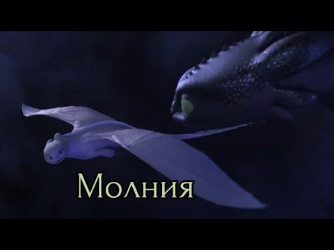 Видео: Беззубик и Дневная фурия / Молния (заказ)