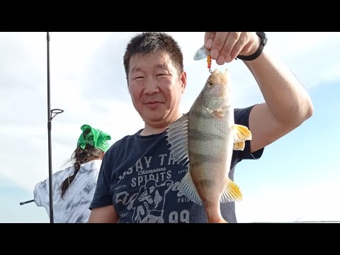 Видео: 27.07.2024 еребул кун балыктааьын. р. Лена, Графский Берег Намский