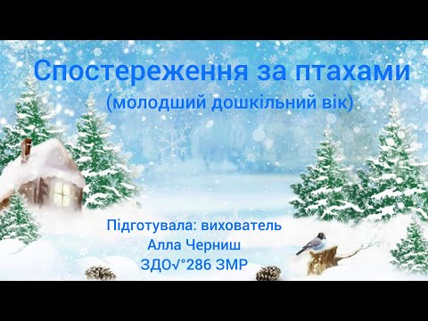 Видео: Спостереження за птахами.