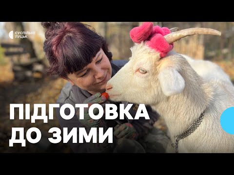 Видео: Чи готовий Луцький зоопарк до зимового сезону